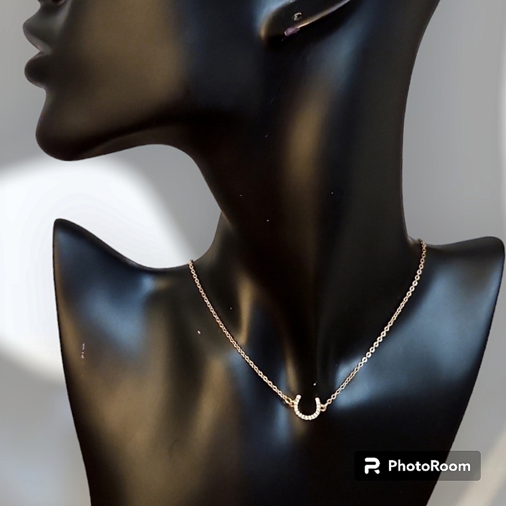 3/$30 Dainty Goldtone Horseshoe Chain Necklace